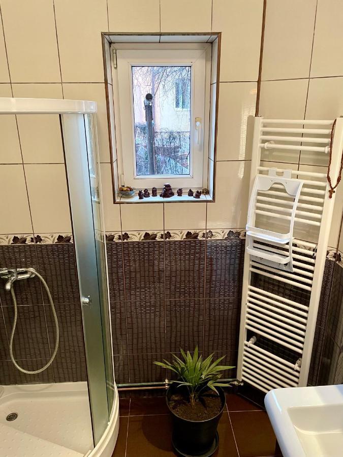 Mosaico Alfetta Hostel Τιμισοάρα Εξωτερικό φωτογραφία