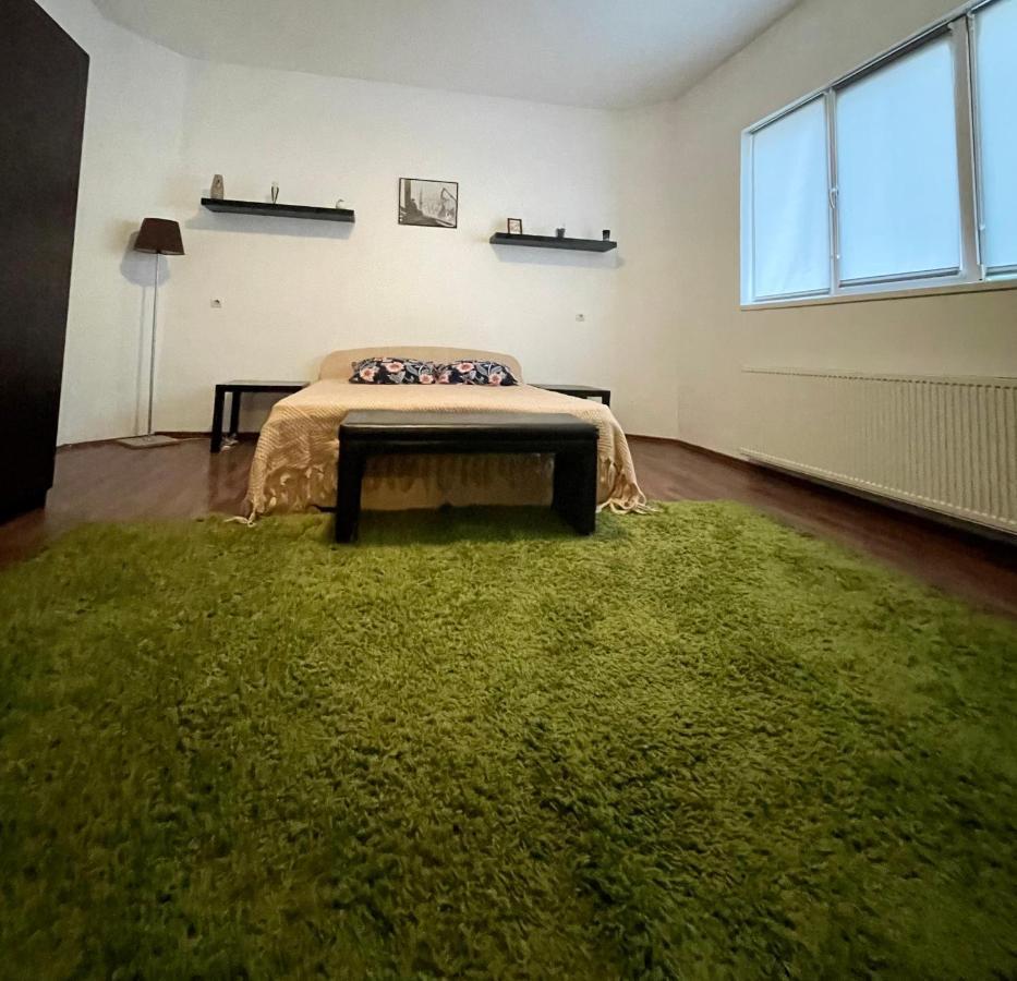 Mosaico Alfetta Hostel Τιμισοάρα Εξωτερικό φωτογραφία