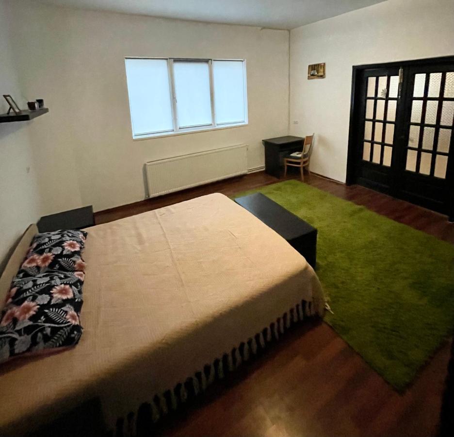 Mosaico Alfetta Hostel Τιμισοάρα Εξωτερικό φωτογραφία
