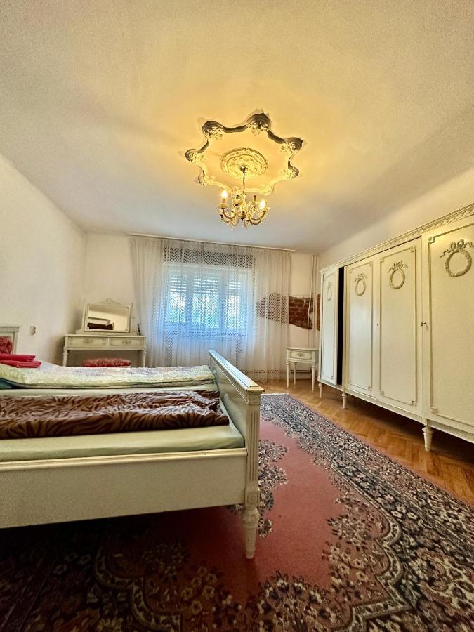 Mosaico Alfetta Hostel Τιμισοάρα Εξωτερικό φωτογραφία