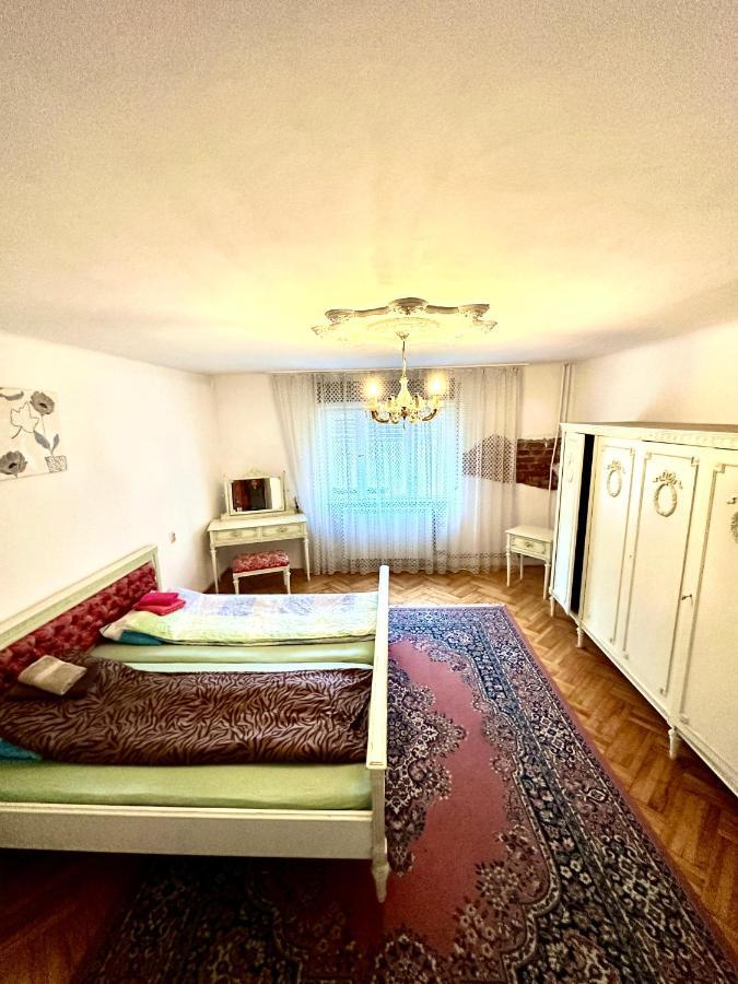 Mosaico Alfetta Hostel Τιμισοάρα Εξωτερικό φωτογραφία