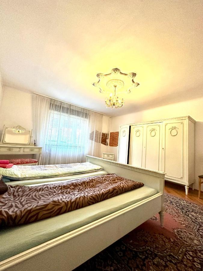Mosaico Alfetta Hostel Τιμισοάρα Εξωτερικό φωτογραφία
