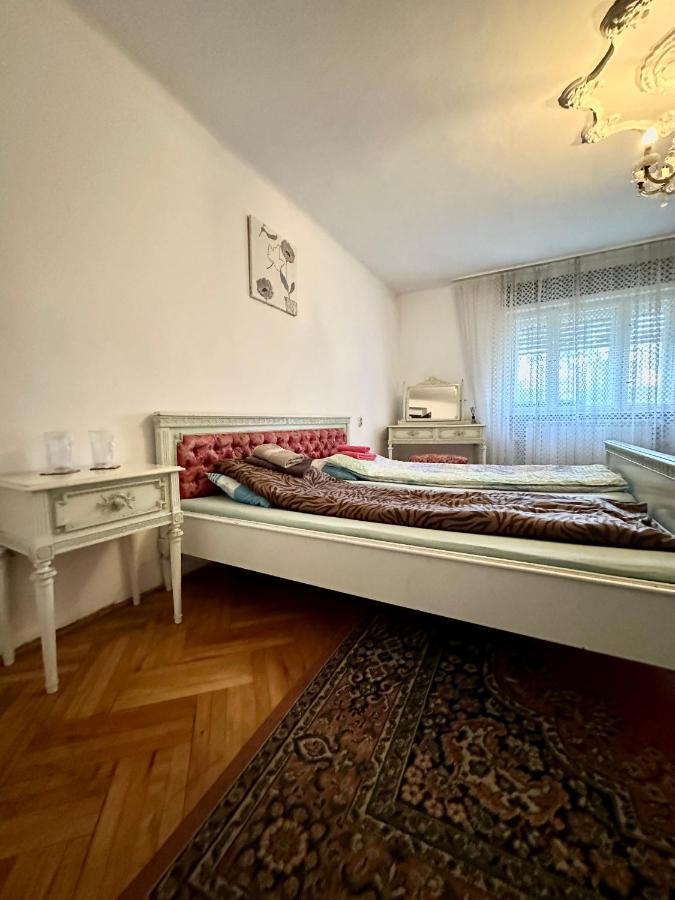Mosaico Alfetta Hostel Τιμισοάρα Εξωτερικό φωτογραφία