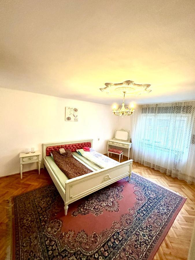 Mosaico Alfetta Hostel Τιμισοάρα Εξωτερικό φωτογραφία