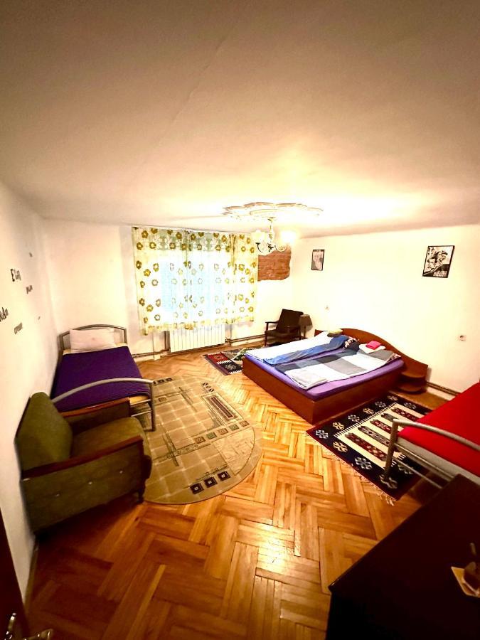 Mosaico Alfetta Hostel Τιμισοάρα Εξωτερικό φωτογραφία